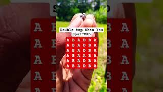 Double tap When You Spot"DAD #search #puzzle #shorts