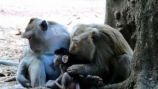 Jody got sweetie Kiss from Grandma Teresa many time, Who Know Grandma Teresa Thinking about Jody?