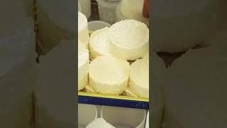 Как готовят сыр? Часть 3. #сыроварня #сыроварение #натуральныепродукты