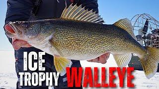 Ice Fishing for GIANT Trophy Walleye