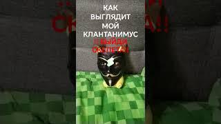 КАК ВЫГЛЯДИТ МОЙ КЛАНТАНИМУС !!ВИДИ СКЕЛЕТА!! |КАПУСТЫЧ| #реки #скелеты #ананимусы