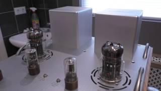 6C33c Triode Class-A Amplifier D.I.Y.