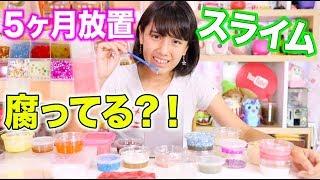 これはやばい。スライムが腐ってる？！5ヶ月放置。Slime is rotten!!