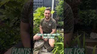 Must have plants for their foliage!  These plants have amazing foliage! #garden #gardenersworld