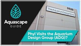 Aquascape Guide - Visiting the Aquarium Design Group (ASG) Houston, Texas