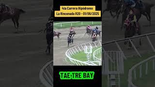 TAE TRE BAY - 4ta Carrera hipódromo La rinconada R20 #foryou #inh #hipismo #caballos #parati #race