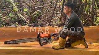 PROSES PEMBUATAN BALOK DARI KAYU DAMAR RAWA || CHAINSAW STIHL 070