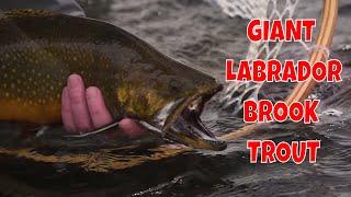 Fly Fishing Labrador for Giant Brook Trout at Three Rivers Lodge