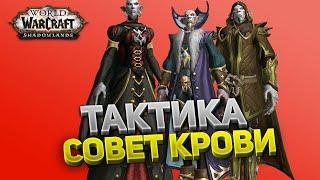 Совет Крови ️ Замок Нафрия  Тактика нормал и героик  World of Warcraft: Shadowlands