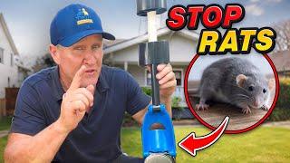 STOP Rats for good, with this one device !