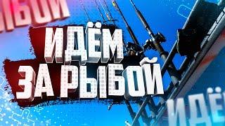 Рыбалка судака Идём за рыбой Онежское озеро Ловим с катера Готовим фестиваль