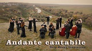 Пётр Ильич Чайковский — Andante cantabile . Село Серебрянное.