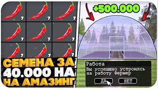 СЕМЕНА ДЛЯ ФЕРМЫ ЗА 40.000! СКОЛЬКО ЗАРАБОТАЛ НА НИХ НА AMAZING ONLINE (GTA CRMP)