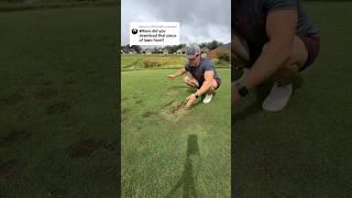 Infinite Lawn Glitch