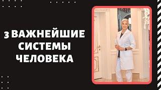 3 важнейшие Системы человека