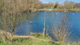 Leybourne Lakes