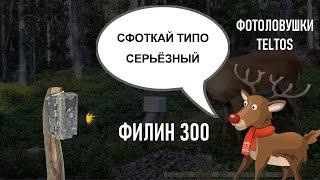 Филин 300 видео с фотоловушки днем. Фотоловушки TELTOS