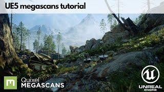 Unreal Engine 5 + Quixel MegaScans Tutorial