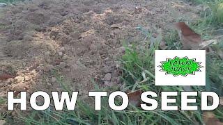 Quick Seeding Tips | How to Grow Grass | Advice on How to get the Best Germination Rate | LawnCrack