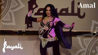 Sumalak | Belly Dance with Amal at Hafla Layali, Sweden 2023