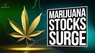  "7 Best Marijuana Stocks to Buy in 2025 "