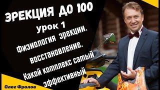 Эрекция до 100 1 урок  Физиологии и механизм  восстановления эрекции. Какой комплекс  эффективен?