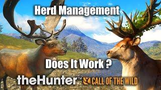 Herd Management Does It Work ? - theHunter Call Of The Wild