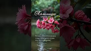 Пятница.Доброе утро#утренняямотивация#доброеутро#пятница#открытки#цитаты#сторис#пожеланиядляоткрыток