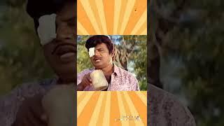 Goundamani famous comedy scenes | Goundamani comedy dialogue| whatsapp status #shortsfeed #shorts