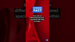 It's truly mind-blowing what stem cells can do! #IncredibleScience #shorts #facts