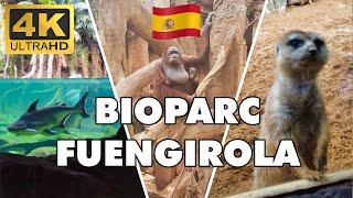 Bioparc Zoo Fuengirola 4k Video ► Costa del Sol Spain ►