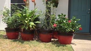 DIY Miniature Dollhouse Plant Pots