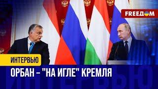 Шантаж ЕС: что СКРЫВАЕТ "многовекторный" курс Венгрии? Орбан НАДЕЕТСЯ на Трампа