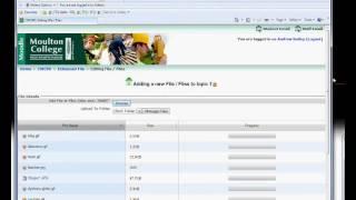 Moodle Multiple File Upload