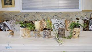 Floristry Tutorial: How to Display Living Ivy Wrapped in Silver Birch Bark