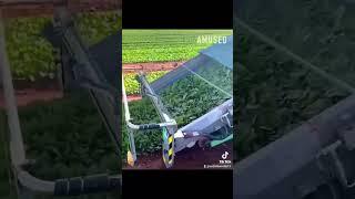 #qualidade #produtividade #supplychain #5s #empresas #melhoriacontinua #tpm #picking #economia