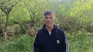 Аз Бадахшон то Зарафшон осоишгоҳи доктор Тоҳири