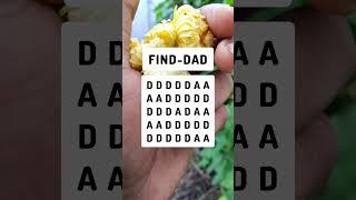 FIND-DAD #search #puzzle #shorts