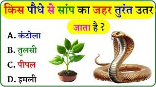 GK Question || GK In Hindi || GK Question and Answer || GK Quiz ||