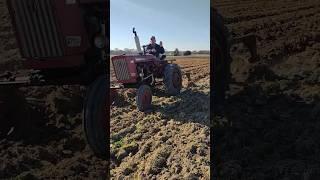 Farmall 140 plowing #farmall51 #farmequipment #tractor #farming