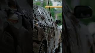 Step 4 & 5: Body Brush & Rinse --- DMV Car Wash