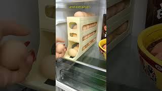 Space-saving 4 Tiers Auto Rolling Egg Dispenser for Fridge