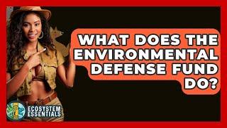 What Does the Environmental Defense Fund Do? - Ecosystem Essentials