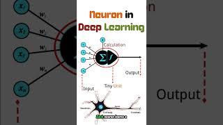 What is a Neuron in Deep Learning? | AI Brain Explained in Simple Words!