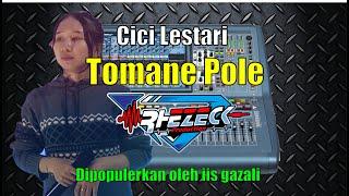 Tomane Pole || iis gazali || Cover by Cici Lestari