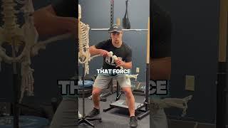 ACL Science Part 1 #acl #rehabilitation #injuryprevention