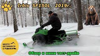 Снегоход Irbis SF150L 2019г. Что скрывается под новым обликом? Обзор и мини тест-драйв