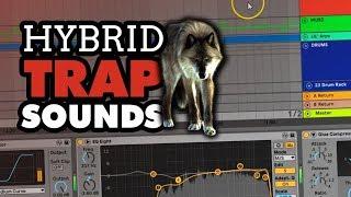 Hybrid Trap WOLF |  590 Sounds, Serum Presets & Ableton Templates