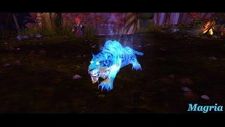 Wow Tame Spirit Beast - Magria