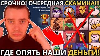 ️NOT PIXEL  СРОЧНО!  ОЧЕРЕДНОЙ СКАМ! ИЛИ ВСЕ ТАКИ НАС ЖДЕТ ЖИРНЫЙ ДРОП! БЕЗ 100К НЕ БУДЕТ ДРОПА!!